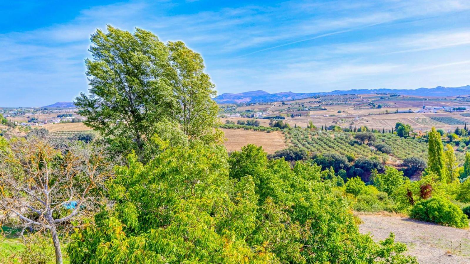 La Fresnea Ronda By Ruralidays Villa Bagian luar foto